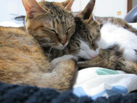IMG06797.jpg
