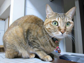 IMG06799.jpg