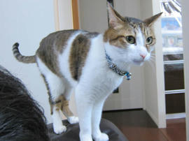 IMG06811.jpg