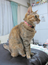 IMG06813.jpg