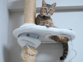 IMG06816.jpg