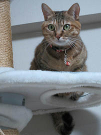 IMG06817.jpg