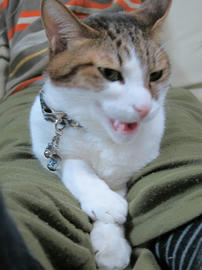 IMG06821.jpg