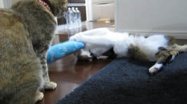 IMG06824_7.jpg