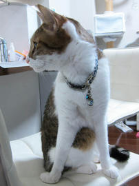 IMG06825.jpg