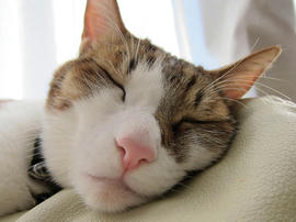 IMG06832.jpg