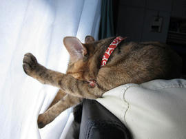 IMG06839.jpg