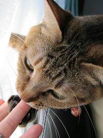 IMG06841.jpg