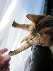 IMG06842.jpg