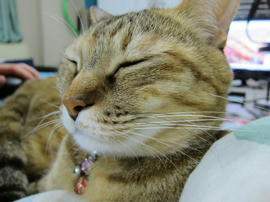 IMG06850.jpg