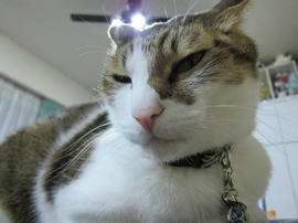 IMG06853.jpg