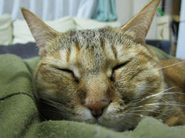 IMG06854.jpg
