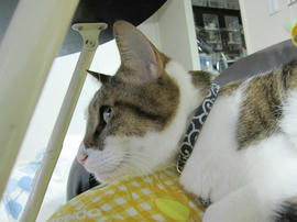 IMG06856.jpg