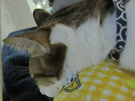 IMG06857.jpg