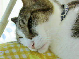 IMG06858.jpg