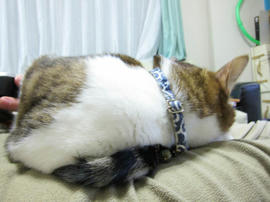 IMG06859.jpg