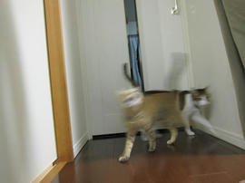 IMG06864.jpg