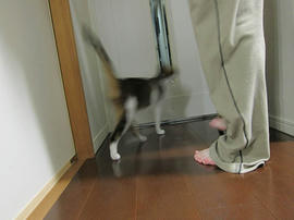 IMG06865.jpg