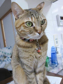 IMG06870.jpg