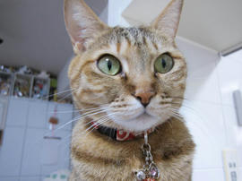 IMG06873.jpg