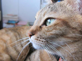 IMG06874.jpg