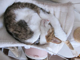 IMG06876.jpg