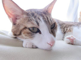IMG06882.jpg