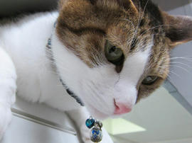 IMG06890.jpg