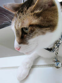 IMG06893.jpg