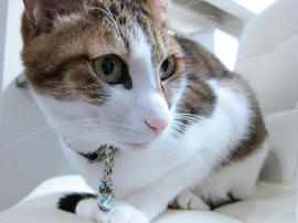 IMG06897.jpg
