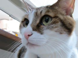 IMG06899.jpg