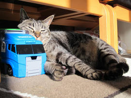 IMG06908.jpg