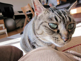 IMG06910.jpg