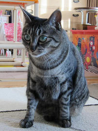 IMG06911.jpg