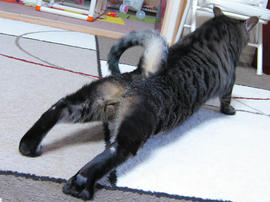 IMG06912.jpg