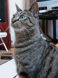 IMG06915.jpg