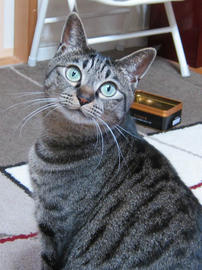 IMG06916.jpg