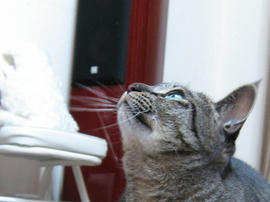 IMG06919.jpg