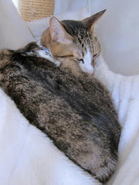 IMG06929.jpg