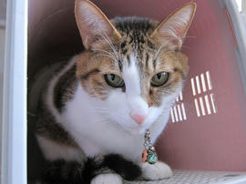 IMG06938.jpg