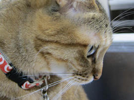 IMG06940.jpg