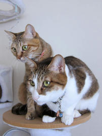 IMG06946.jpg