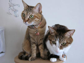 IMG06948.jpg