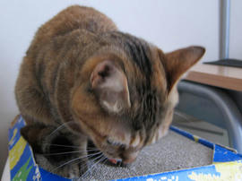 IMG06950.jpg