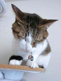 IMG06951.jpg