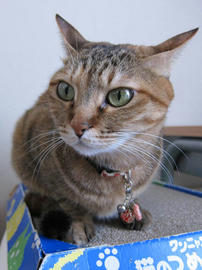 IMG06952.jpg