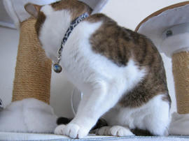 IMG06953.jpg