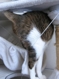 IMG06955.jpg