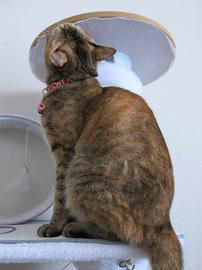 IMG06961.jpg