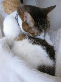 IMG06963.jpg
